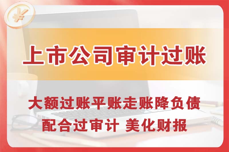 陆河上市公司审计过账